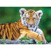 Nathan pièces XXL - Tigre - 150 pièces