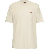 Dickies T-Shirt 'Mapleton'