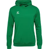 Hummel Sweat de sport 'Authentic PL' vert foncé / blanc