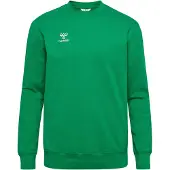 Hummel Sweat de sport 'GO 2.0' vert gazon / blanc