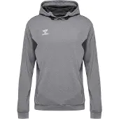 Hummel Sweat de sport 'Authentic PL' gris / blanc