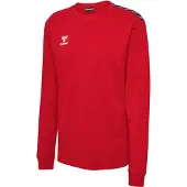 Hummel Sweat de sport 'Authentic' rouge / noir / blanc
