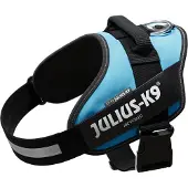 Julius-K9 Idc Power Dog Harness Bleu L-1