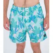 Hurley Short de bain Cannonball Volley 17'' Multicolore S Hommes Multicolore S