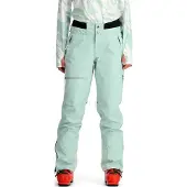 Spyder Turret Gore-tex Shell Pants Vert L Femme