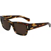 Ferragamo Sf2011s-216 53/21/140 Sunglasses Marron Homme