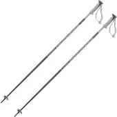 Salomon Polar Poles Argenté 115 cm
