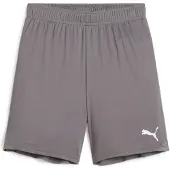 Puma Teamgoal Short Enfants - Gris