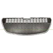 PRASCO DW3422011 Radiator grill
