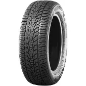 Nankang Pneus d'hiver Winter Activa 4 ( 245/45 R18 100V XL, avec protège-jante (MFS) )