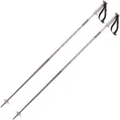 Salomon Polar Poles Argenté 105 cm