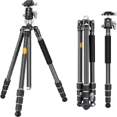 K+F Tripod X254C4+BH-30