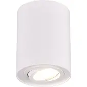 TRIO Spot de plafond Cookie
