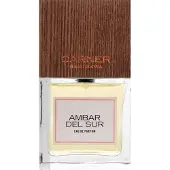 Custo barcelona Barcelone Ambar Del Sur EDP - 100 ml