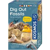 Kosmos Set éducatif Tige fossile ancienne, +7 ans,