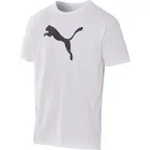 Puma Maillot teamRISE Logo Cotton Adulte