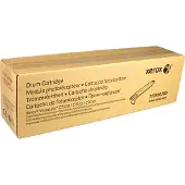 Xerox 113R00780 - Courroie OPC