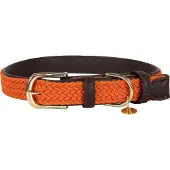 Kentucky Nylon Plaited Dog Collar Orange 36-42 cm