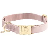 Kentucky Velvet Dog Collar Rose 36-52 cm