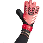 Adidas Predator Training Goalkeeper Gloves Rouge 10
