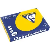Clairefontaine TROPHEE - 109 micron - or - A3 (297 x 420 mm) - 80 g/m² - 500 feuille(s) papier uni