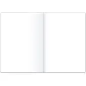 Staufen Papier pour chancellerie STYLE 80 g/qm blanc (250 feuilles, 80 g/m²)