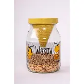 Vincentes Waspy