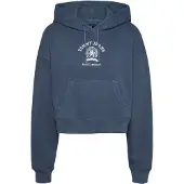 Tommy Hilfiger Dw0dw20311 Hoodie Bleu L Femme