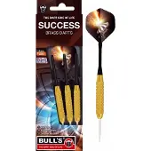 Bulls Success Steel Dart (23 g)