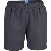 Arena Boardshorts 'FUNDAMENTALS BOXER R' bleu / anthracite