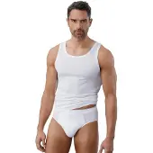 Schiesser Slip '95/5' gris argenté / blanc