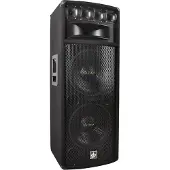 Dibeisi Enceinte de scène 300W RMS 800W MAX Q1240