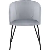 Ebuy24 Berit chaise de salle à manger avec accoudoirs velours gris