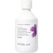 Ginza.se Restructure In Shampoo 250ml Clair