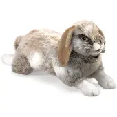 Folkmanis Lapin, Holland Lop