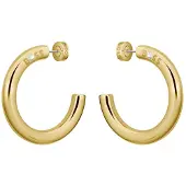 BOSS 1580738 Earrings Doré Femme