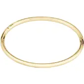 HUGO BOSS 1580686 Bracelet Doré Femme