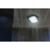 Lutec Sweep LED Plafonnier Couleur de lumière réglable 23,5W IP54 anthracite