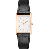 Daniel Wellington - DW00100693 - Montre Bracelet - Femmes - Quartz - BOUND