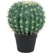 Europalms Cactus boule (34 cm)