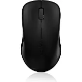 Rapoo 1620 - Souris - optique - sans fil - 2.4 GHz - récepteur sans fil (USB)