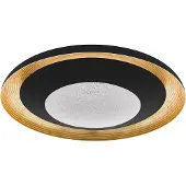 Eglo Canicosa 2, LED, 4600 lm, IP20, noir, or, transparent