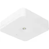 Fischer lampe de sécurité fischer EB 1/3/8h 1W IP20 SLM-D31USC (SLM-D31USC)
