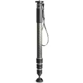 Gitzo Monopode GM4542 Carbone eXact Série 4