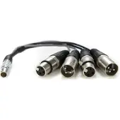 Atomos câble breakout LEMO 10 broches vers XLR pour Shogun