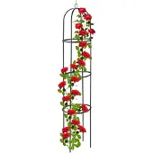 Relaxdays Trellis Obélisque, 190 M De Hauteur, Support Pour Plantes Grimpantes, En Métal, Stable, Tour Pour Rosier, Noir -