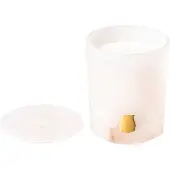 Trudon Bougie Ernesto Albâtre 270 g