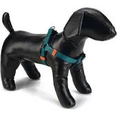 Beeztees BZ NY GESCH VERT FONCÉ 26-4 (Chien, Général)