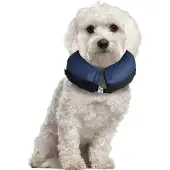 Karlie Collier De Chien Inflatable