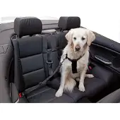 Kerbl Harnais pour chien de voiture (Chien)